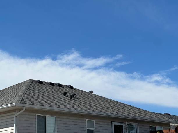 Best Rubber Roofing (EPDM, TPO)  in Kapolei, HI